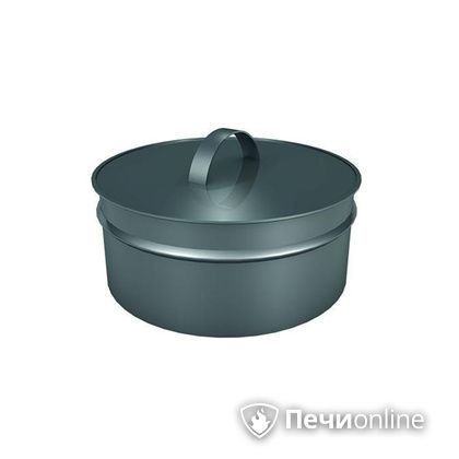 Заглушки Теплов и Сухов Заглушка ревизии Термо-Р 304 0.5 D220(120) в Нижнем Тагиле